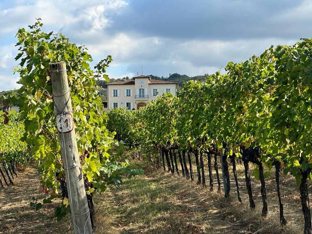 Winery in Emilia Romagna
